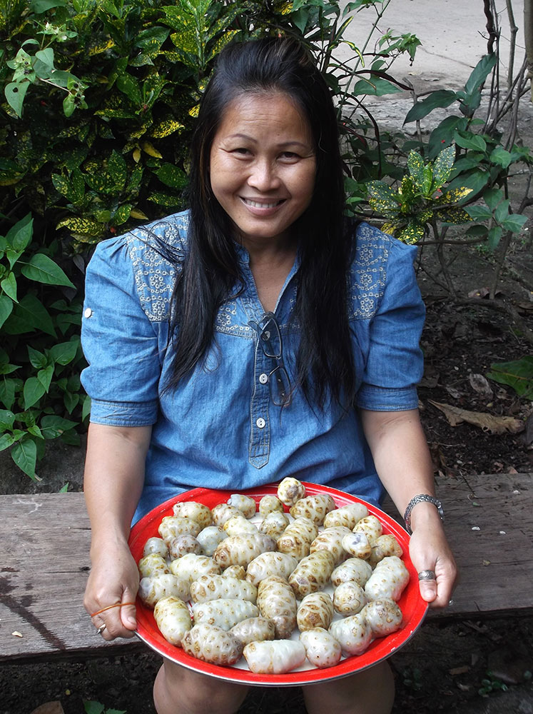 An with Noni fruit